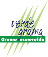 VERDE GRAMA